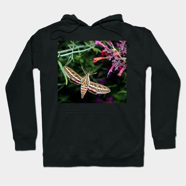 Hummingbird Moth Hoodie by Scubagirlamy